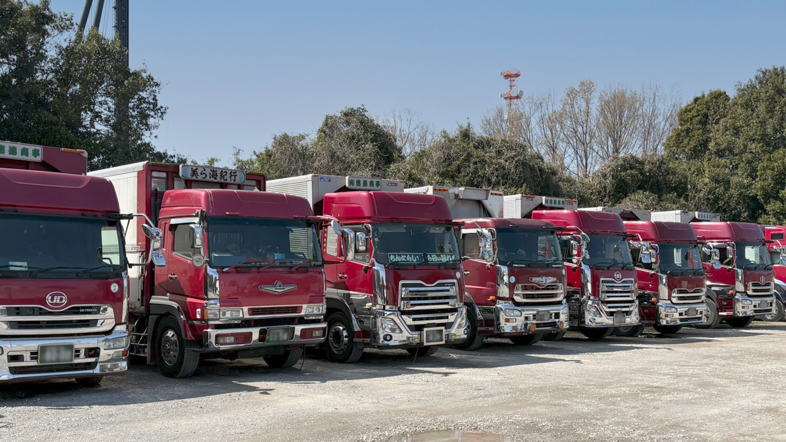 有限会社信徳商事