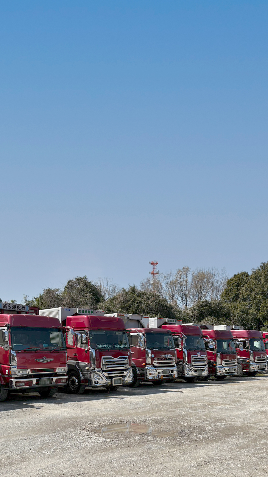 有限会社信徳商事